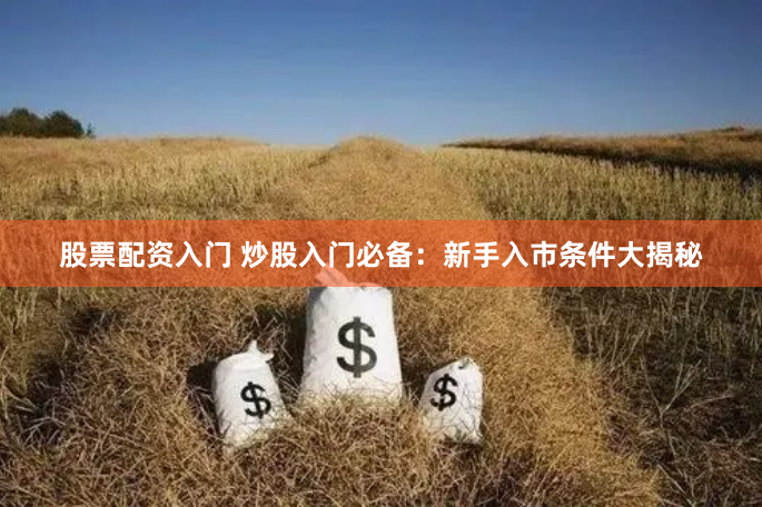 股票配资入门 炒股入门必备：新手入市条件大揭秘