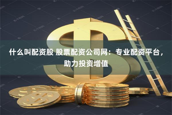 什么叫配资股 股票配资公司网：专业配资平台，助力投资增值